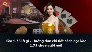 Kèo 1.75 là gì? Hướng dẫn toàn diện cách chơi kèo chấp 1 3/4
