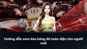 Hướng dẫn xem kèo bóng đá toàn diện cho người mới