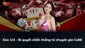 Kèo 3/4 – Bí quyết chiến thắng từ chuyên gia Co88