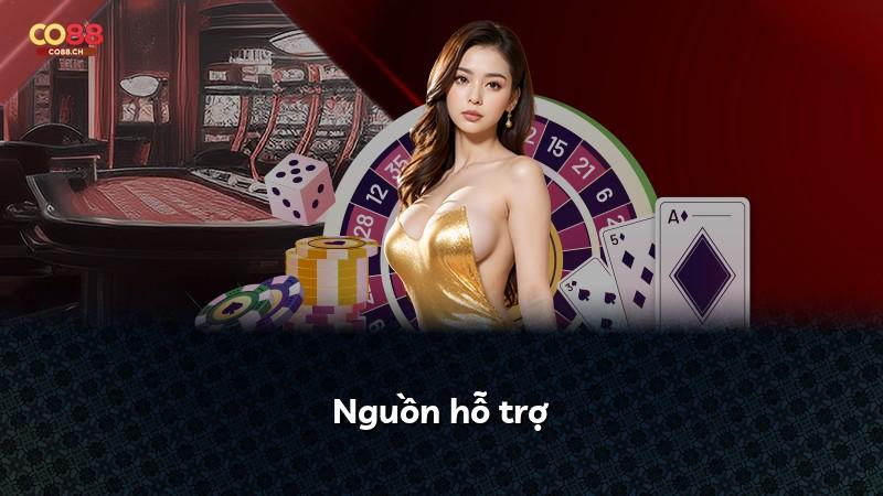 Nguồn hỗ trợ