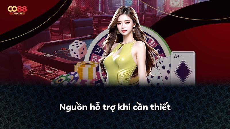 Nguồn hỗ trợ khi cần thiết
