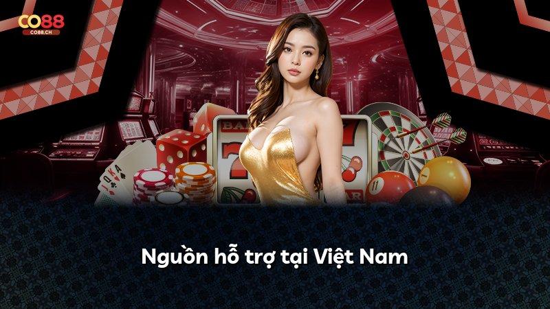 Nguồn hỗ trợ tại Việt Nam