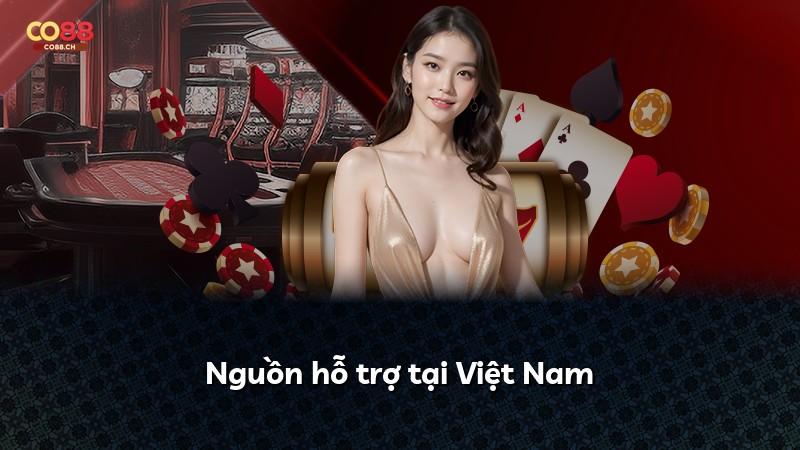 Nguồn hỗ trợ tại Việt Nam