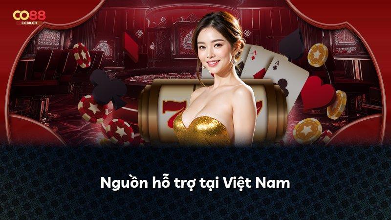 Nguồn hỗ trợ tại Việt Nam