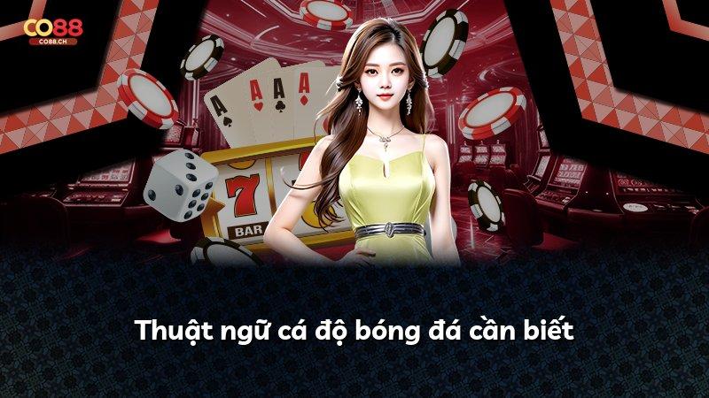 Thuật ngữ cá độ bóng đá cần biết